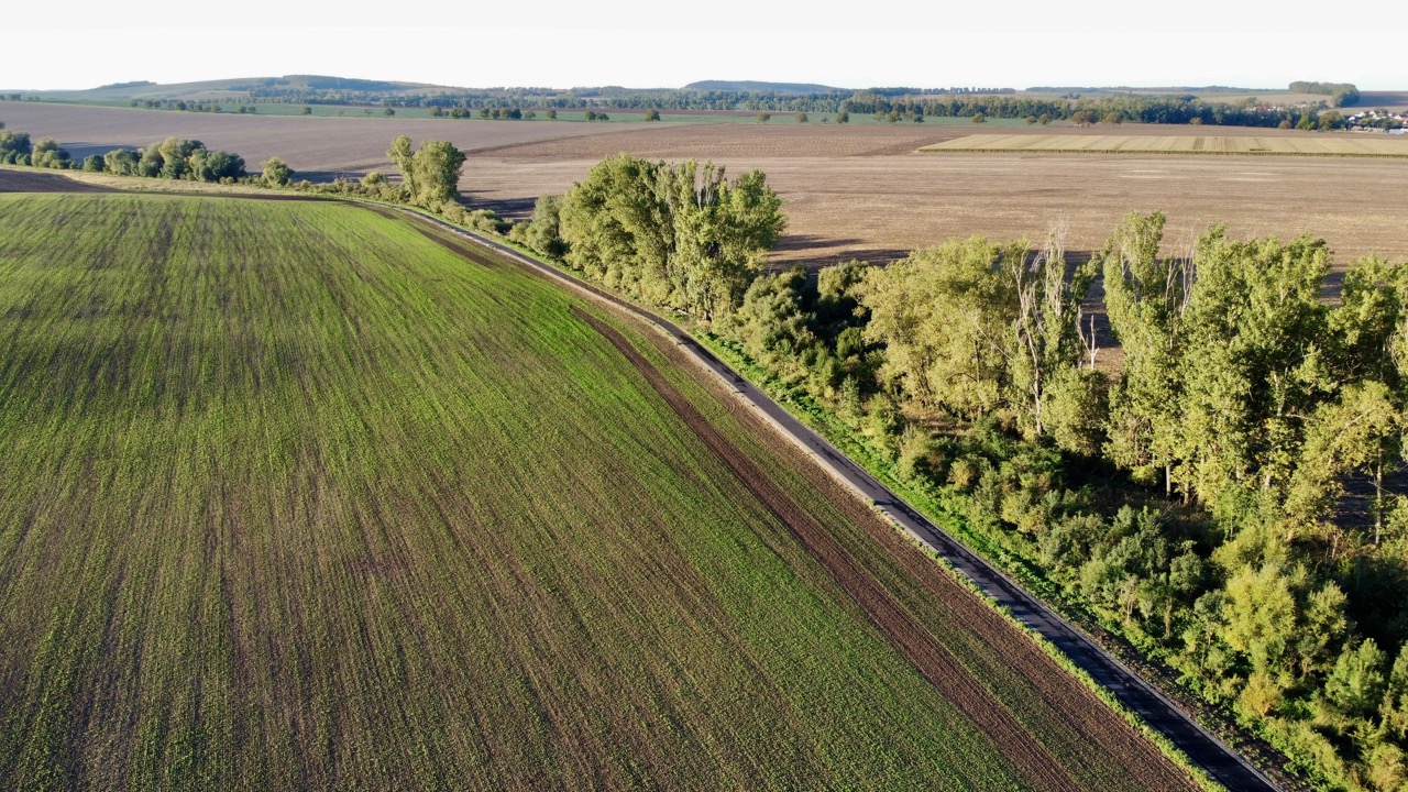 Cukrovarská cyklostezka Vyškov–Kozlany, I. úsek - Road and bridge construction